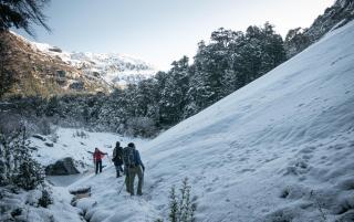 INDÓMITO HOSTEL - San Carlos de Bariloche - 5