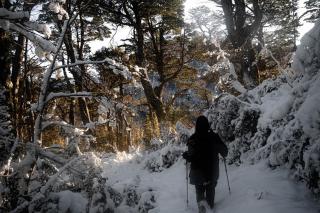INDÓMITO HOSTEL - San Carlos de Bariloche - 6