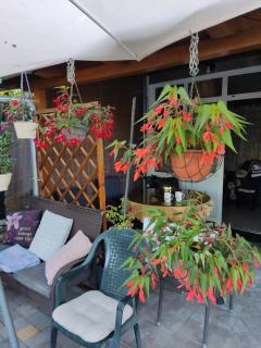 Dalmati house - Brodarica - 2