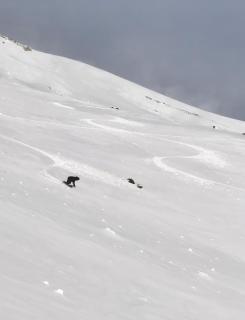 INDÓMITO HOSTEL - 6