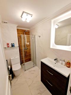 Gorgeous Hyde Park Home with Elevator Access by Tube Metro Stations - 7