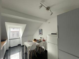 Penthouse - Englischer Garten view - 3