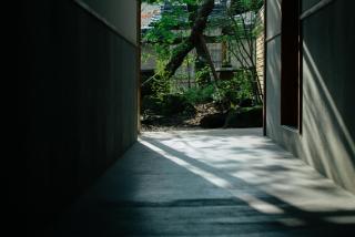 willow. - Toyooka - 1
