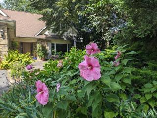 Greater Toronto B&B - 1