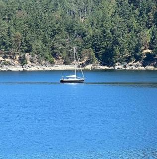 The Salish Sunset Cabin - 1