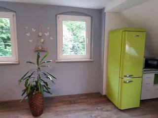 Quaint apartment in Bergk with garden - Burgk - 1