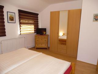 Cozy holiday apartment in the Harz - Wildemann - 7