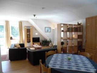 Cozy holiday apartment in the Harz - Wildemann - 9