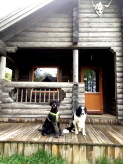 Joe Getaway - Stugby i Ullared - 9