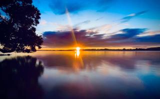 Harbour View Motel and Waterfront Apartments - Tauranga - 4