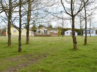Walnut - Thornbury - 5