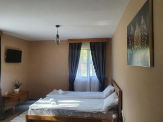 Pensiunea transilvania - Covasna - 7