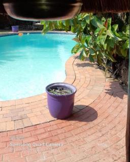 Bozi Abode - Kempton Park - 9