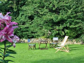 Mehefin Coed c/o llwyn Celyn - 3