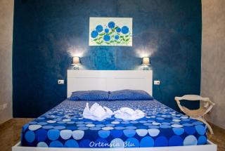 Ortensia blu - Lenola - 0