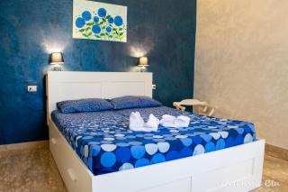 Ortensia blu - Lenola - 3