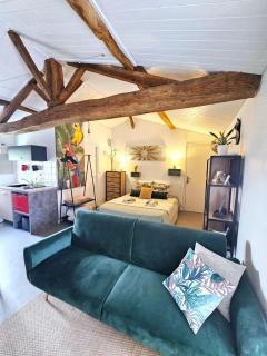 Gite "RIO", parking securise - La Roche-sur-Yon - 7
