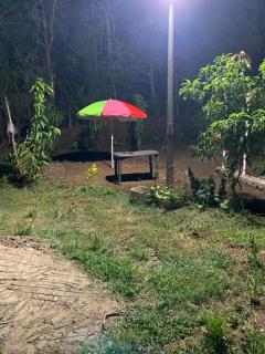 Shrushtiban farms - Dhamni - 8