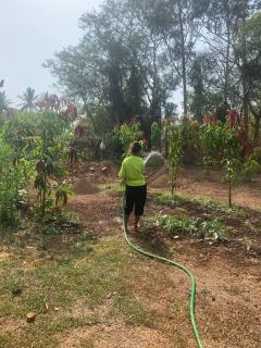 Shrushtiban farms - Dhamni - 7