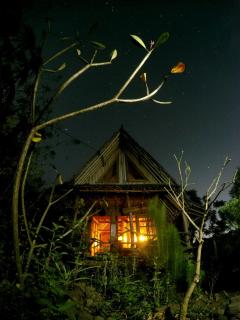 Bamboo hut Alpha Hotel - 7