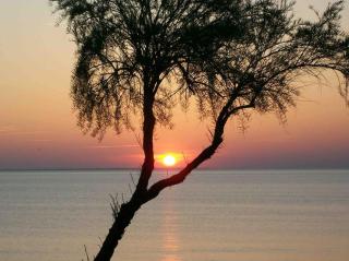 VILLA LES PIEDS DANS L’EAU ACCES DIRECT A LA PLAGE - 9