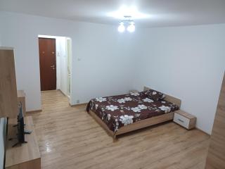 Studio Veteranilor - 0