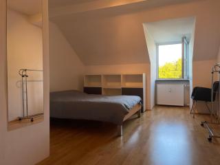 Penthouse - Englischergarten view - Monaco di Baviera - 3