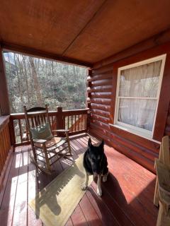 Alpenhaus Cabins Real Log Home in Helen Ga Mountains with hot tub and balconies - Sautee Nacoochee - 6