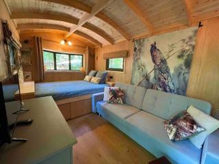 Pipowagen de Pauw in de bossen van Belgisch Limburg nabij Maastricht - 6