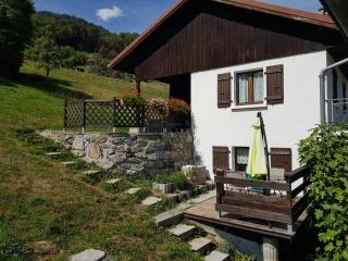 Chalet avec terrasse et vue sur le Mt-Blanc - Sallanches - 1
