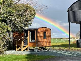 Cosy Shepherd's Hut near Shrewsbury - - 0
