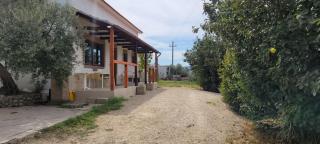la casina della valle - San Martino in Pensilis - 5