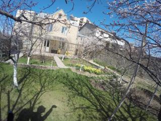 B27: Studio+BDR w/big Garden away from city heat! - 6