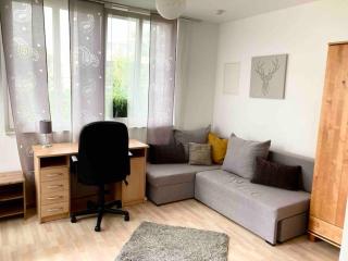 Ruhige, gemütliche 1-Zimmer-Wohnung nahe FFM - Bad Vilbel - 0