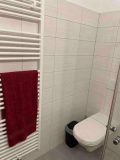 Ruhige, gemütliche 1-Zimmer-Wohnung nahe FFM - Bad Vilbel - 9