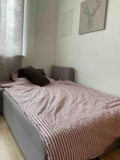 Ruhige, gemütliche 1-Zimmer-Wohnung nahe FFM - Bad Vilbel - 5