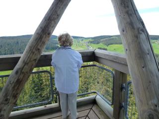 Ferienwohnung Schluchsee - Schluchsee - 4