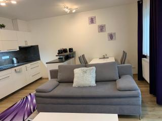 Apartmán s vyhlídkou - Horní Maršov - 9