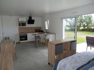 Studio lumineux avec terrasse - La Roche-sur-Yon - 6