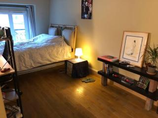 Appartement duplex refait à neuf calme et lumineux - Paris - 1