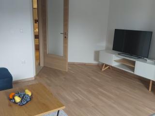 Apartman Centar Kozarska Dubica - Bosanska Dubica - 2