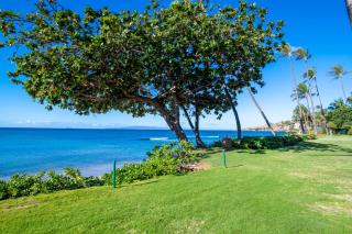 Kanai A Nalu 202 - Wailuku - 8
