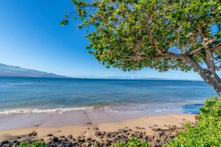 Kanai A Nalu 202 - Wailuku - 2