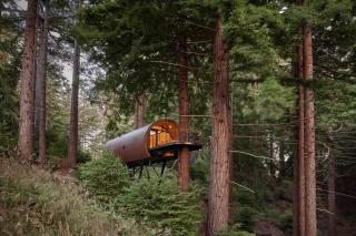 ~* The Spectacular Spyglass Treehouse *~ - Occidental - 1