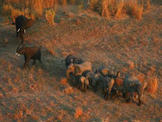 Montebelo Gorongosa Lodge & Safari - 1
