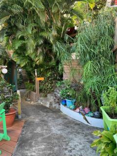 Bungalow Bananier - 5