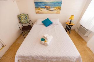 Vieques Tropical Guest House - Vieques - 6
