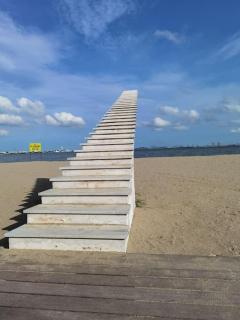 Carnelian Tower - Forest City FC4223 - 2