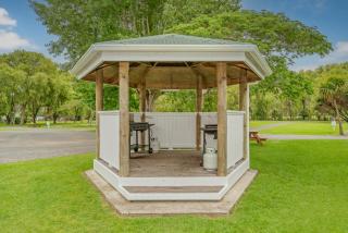 Coromandel Shelly Beach TOP 10 Holiday Park - Coromandel - 6