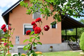 Holiday home Vuković - 8